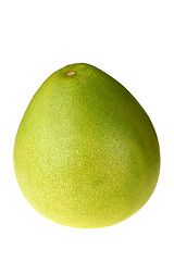 Image showing Big pomelo