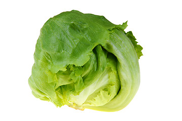 Image showing Iceberg lettuce