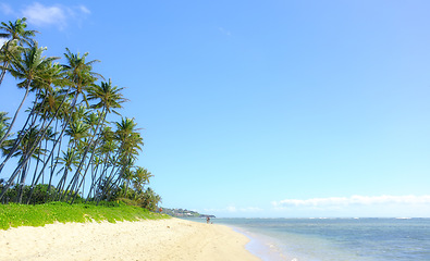 Image showing Tropical ocean, trees and sky by landscape with mockup space, nature and beach with summer sunshine. Outdoor, Hawaii and natural sea environment with palm tree, sand and water by island with horizon