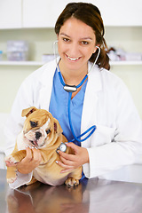 Image showing Portrait, happy doctor or dog at vet clinic for animal healthcare checkup in nursing consultation with stethoscope. Inspection, nurse or sick bulldog pet or puppy get exam or medical test for help