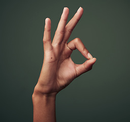 Image showing Person hand, OK gesture and emoji with agreement, approval and feedback isolated on green background. Yes, like and thank you with mockup space, okay sign and expression of support closeup in studio