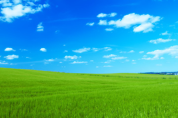 Image showing Hill, clouds and blue sky with landscape of field for farm mockup space, environment and ecology. Plant, grass and horizon with countryside meadow for spring, agriculture and sustainability