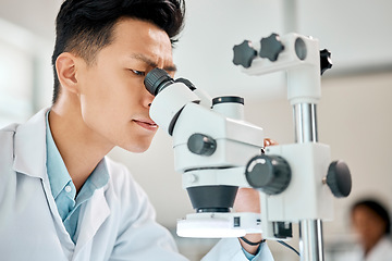 Image showing Medical, science and microscope with an asian man doctor working in a lab for research or innovation. Healthcare, investigation and experiment with a male scientist in a laboratory for analysis