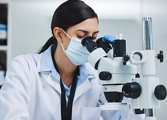 Image showing Research, laboratory and woman with microscope for medical analysis, science and lab test. Healthcare, biotechnology and female scientists with equipment for sample, experiment and examine virus