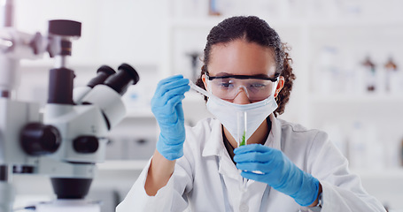 Image showing Lab worker, woman scientist and plant chemical pour of employee with science work. Laboratory mask, medical test and chemistry for botany and ecology analysis doing futuristic research with sprout