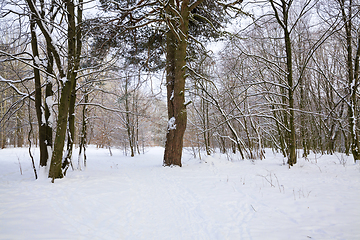 Image showing day in winter