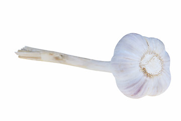 Image showing Garlic