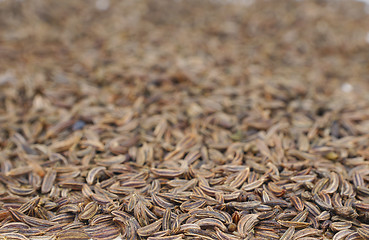 Image showing Cumin