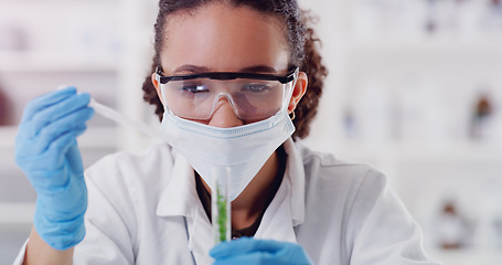 Image showing Science, medical and plant with woman in laboratory for pharmacy, agriculture and research. Biotechnology, ecology and healthcare with gmo scientist and test tube for biology, vaccine and medicine