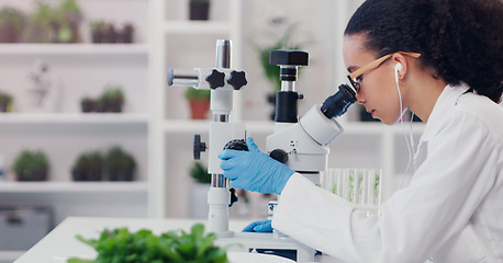 Image showing Science, microscope and plant with woman in laboratory for medical, pharmacy and research. Biotechnology, ecology and healthcare with gmo scientist and test tube for biology, vaccine and medicine