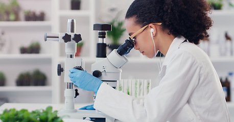 Image showing Science, ecology and microscope with woman in laboratory for botany expert, medical and planning. Biotechnology, vaccine analysis and medicine with scientist for research, healthcare and pharmacy