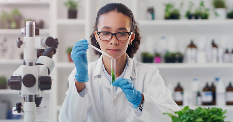 Image showing Lab worker, woman ecology scientist and test tube with chemical of employee with science work. Laboratory, medical and plant for disease, virus and health analysis doing futuristic research with tech