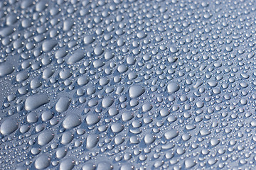 Image showing Water droplets