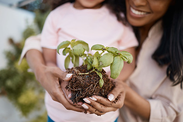 Image showing Hands of mother and child with plant for gardening learning skill for growth, agriculture and ecology. Landscaping, family and girl with mom planting sprout in soil, dirt and earth for sustainability