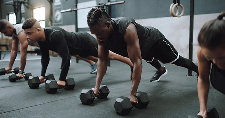 Image showing Gym group, weight and floor plank with workout, training and exercise with strength. Diversity, people and strong challenge for body lifting and fitness of athlete friends with dumbbell for health