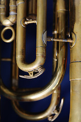 Image showing Old Baritone