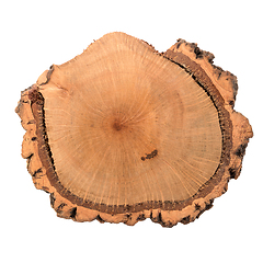 Image showing Wood log slice