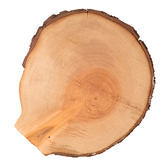 Image showing Wood log slice