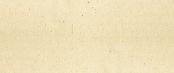 Image showing Natural recycled paper texture. Banner background
