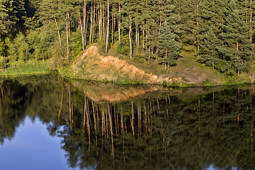 Image showing reflection of pines in water