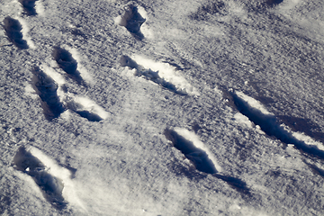 Image showing snow drifts