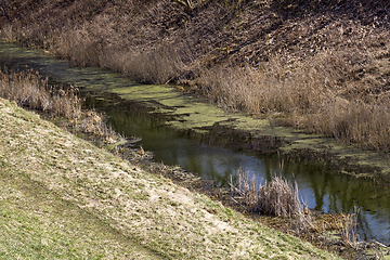 Image showing part of the creek