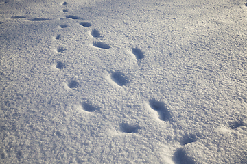 Image showing snow drifts