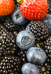 Image showing blueberry, blackberries and strawberries