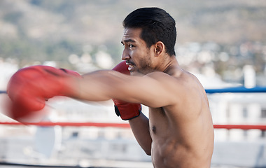 Image showing Rooftop, fitness and man boxing, training and exercise with wellness, competition and exercise. Male person, boxer and athlete outdoor, punching and activity with focus, gloves and fighting skills