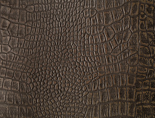 Image showing Faux alligator skin