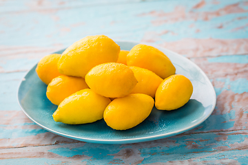 Image showing Limequats ( botanically known as Citrus x floridana ) hybrid of West Indian lime and kumquat