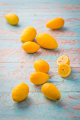 Image showing Limequats ( botanically known as Citrus x floridana ) hybrid of West Indian lime and kumquat