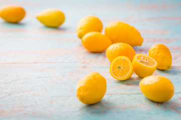 Image showing Limequats ( botanically known as Citrus x floridana ) hybrid of West Indian lime and kumquat