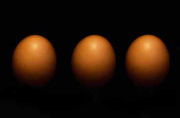 Image showing Agriculture. fertility and eggs on a dark background in studio for farm sustainability or reproduction. Food, market and breakfast with fresh chicken produce for a grocery store on a black backdrop