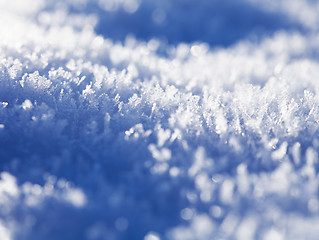 Image showing Frost