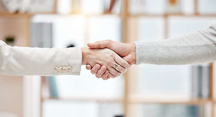 Image showing Thank you, business colleagues shaking hands and at workplace in an office. Partnership or welcome, interview or onboarding and coworkers with handshake for congratulations or success together