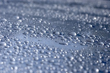 Image showing Water droplets