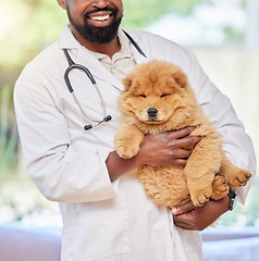 Image showing Black man, pet vet and puppy at a clinic, medical and animal support with a smile. Happy, African male person and veterinarian staff employee with a cute dog and professional with care at job