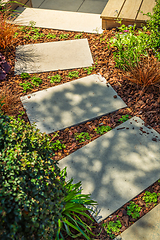 Image showing Detail of  garden path with stone slabs with bark mulch and native plants. Landscaping and gardening concept.