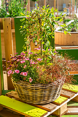 Image showing Beautiful plant pot basket for garden, patio or terrace with different flower and plants