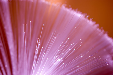 Image showing Optical fibers