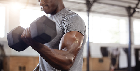 Image showing Dumbbells, biceps and exercise with a black man at gym for fitness, training workout and strong muscle. African male athlete or bodybuilder with weights for power and performance at a wellness club