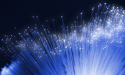 Image showing Optical fibers