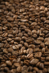 Image showing Coffee beans