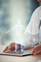 Image showing Tablet, digital hologram and doctor hands for anatomy, human body and futuristic research in 3D. Technology, holographic and medical person in augmented reality for x ray, skeleton or spine solution