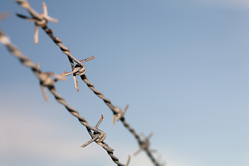 Image showing Barb wire