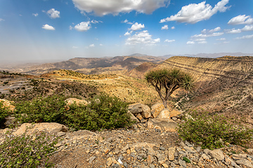 Image showing Ethiopian landscape, Ethiopia, Africa wilderness