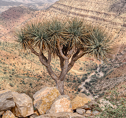 Image showing Ethiopian landscape, Ethiopia, Africa wilderness