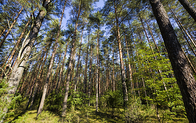 Image showing autumn season of September.