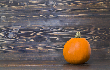 Image showing single orange pumpkin